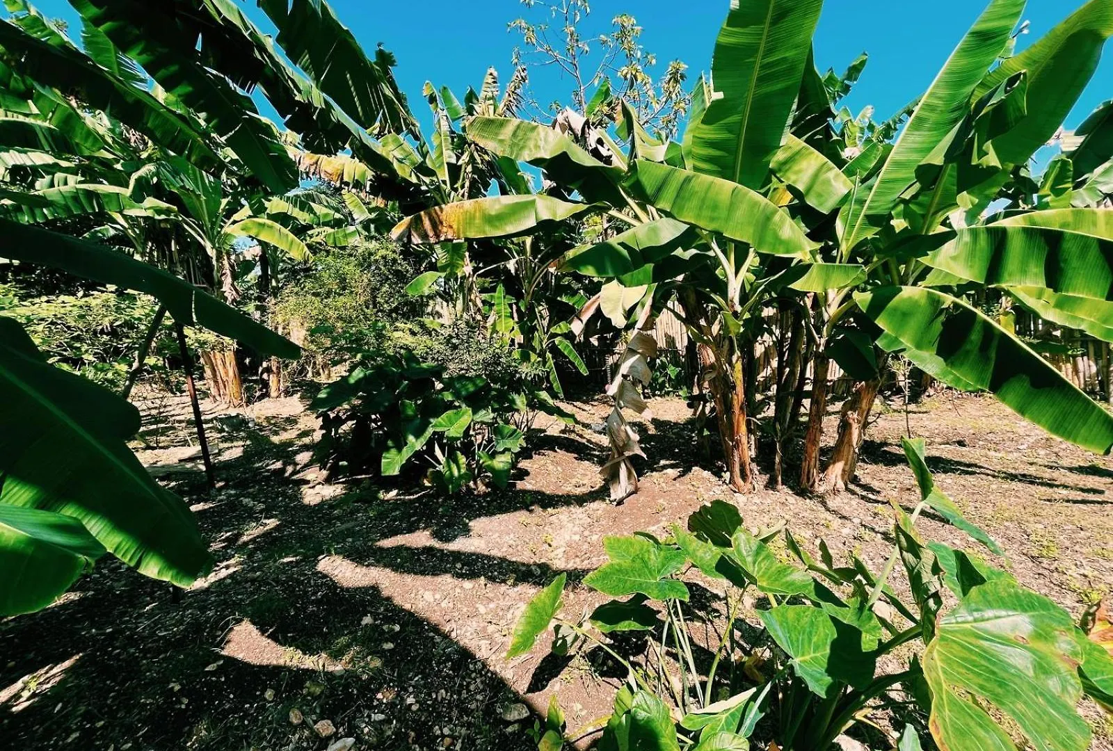 Honey Comb Villa Bantam Spring Holiday home