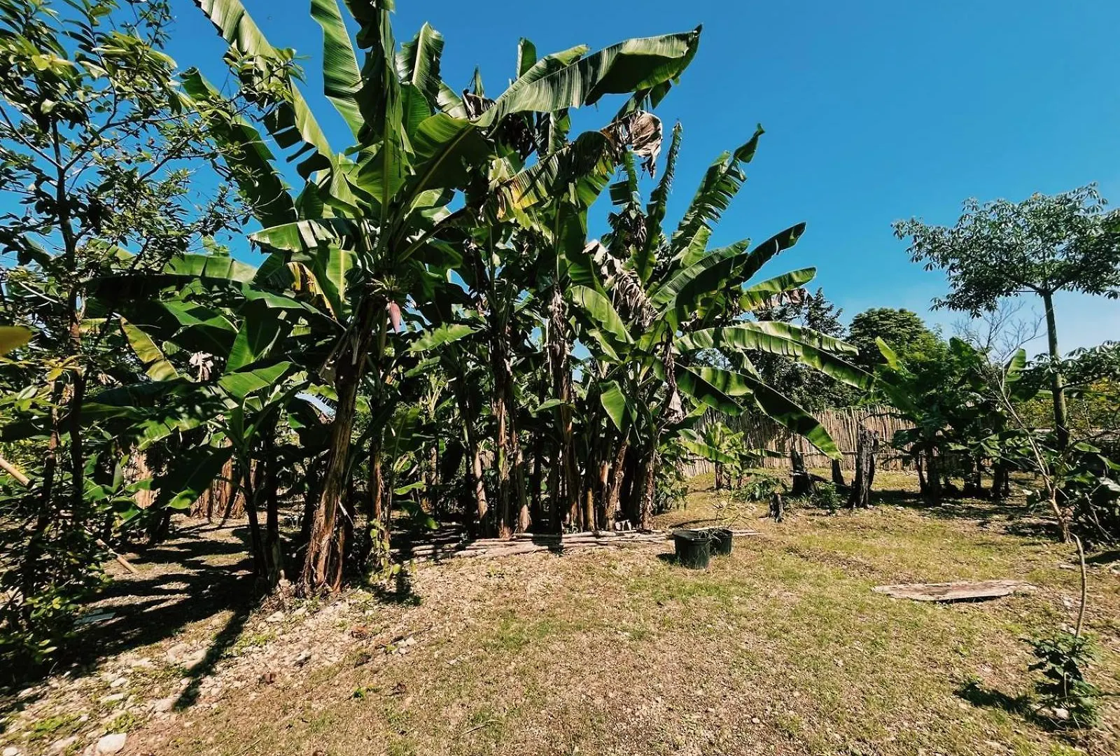 Honey Comb Villa Bantam Spring